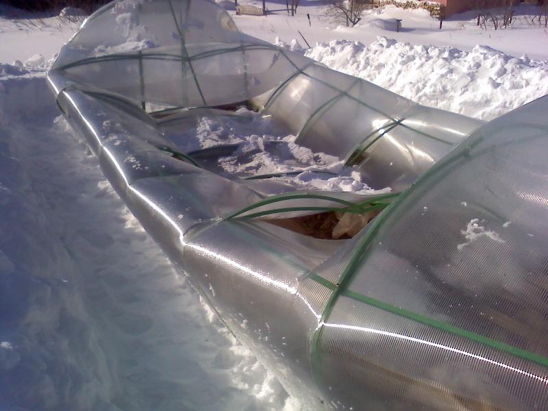 Дешевые теплицы от производителя фото