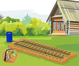 Система капельного полива для теплиц фото