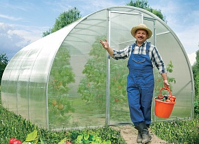 Теплицы в Кашире фото