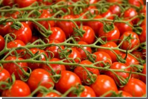 Помидоры