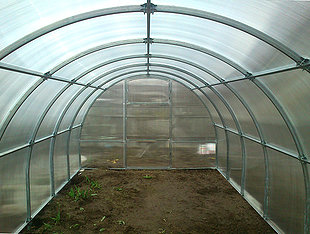 как купить недорогие теплицы