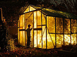 Советы по освещению рассады в теплицах Советы по освещению рассады в теплицах