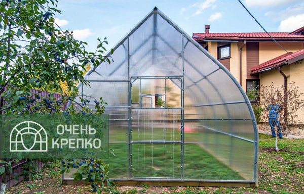 Теплица Капелька фото 2