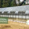 Теплица Алтайская сказка 3,5м фото 1