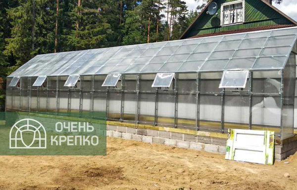 Теплица Алтайская сказка 3,5м фото 1