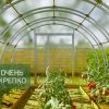 Теплица Усиленная Титан 3,5м фото 2