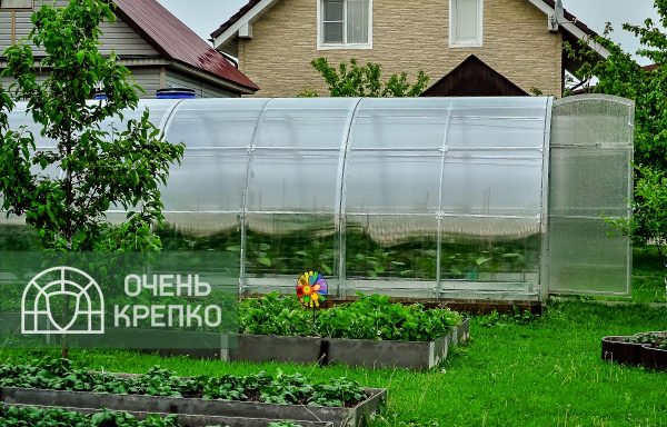 Теплица Усиленная Титан 3м фото 6