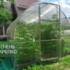 Теплица Звезда фото 8