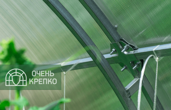 Теплица Звезда фото 7