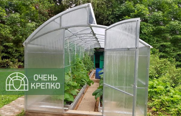 Теплица Миттлайдер фото 1