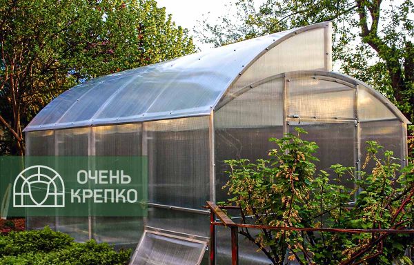 Теплица Миттлайдер 5 м фото 1