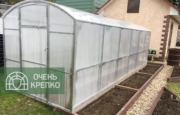 Теплица Сказка фото 6