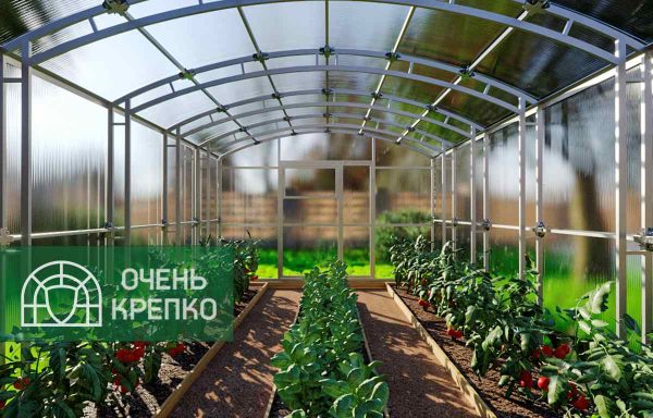 Теплица Сказка Титан 3,5м фото 4