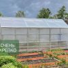Теплица Алтайская сказка 4м фото 2