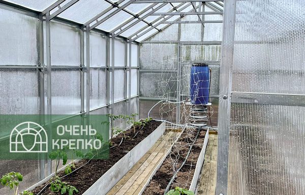 Теплица Алтайская сказка 4м фото 3