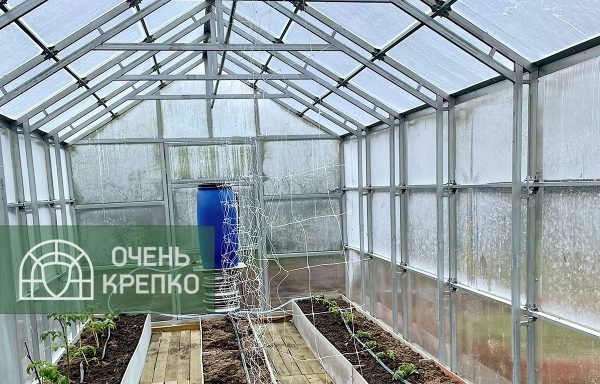 Теплица Алтайская сказка 4м фото 4