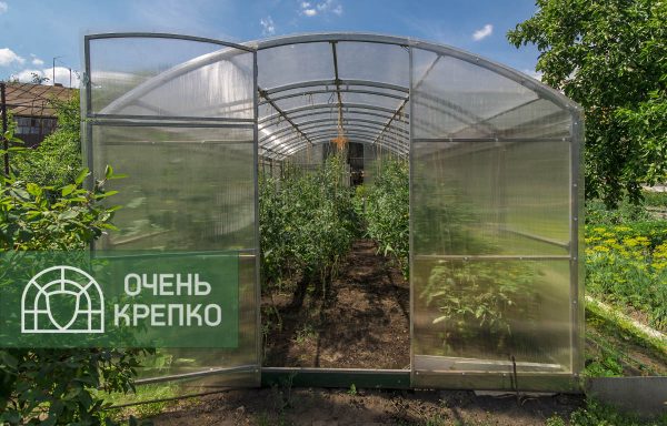 Теплица Сказка 3м фото 1