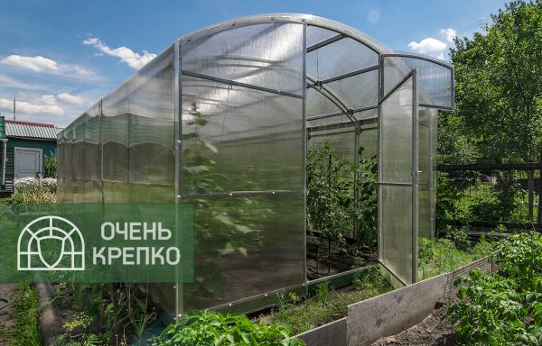 Теплица Сказка 3м фото 3