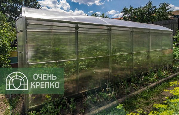 Теплица Сказка 3м фото 5