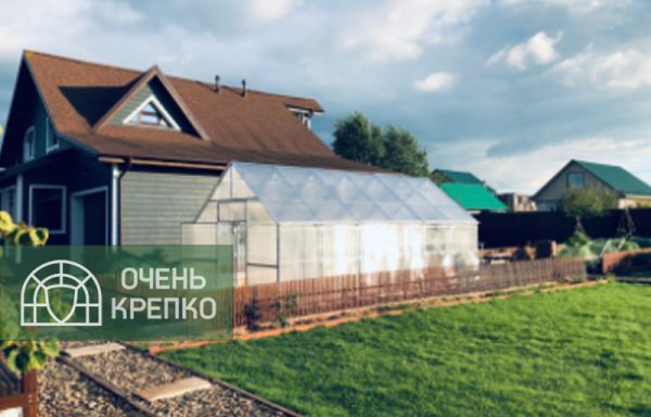 Теплица Алтайская сказка 3м Люкс фото 2